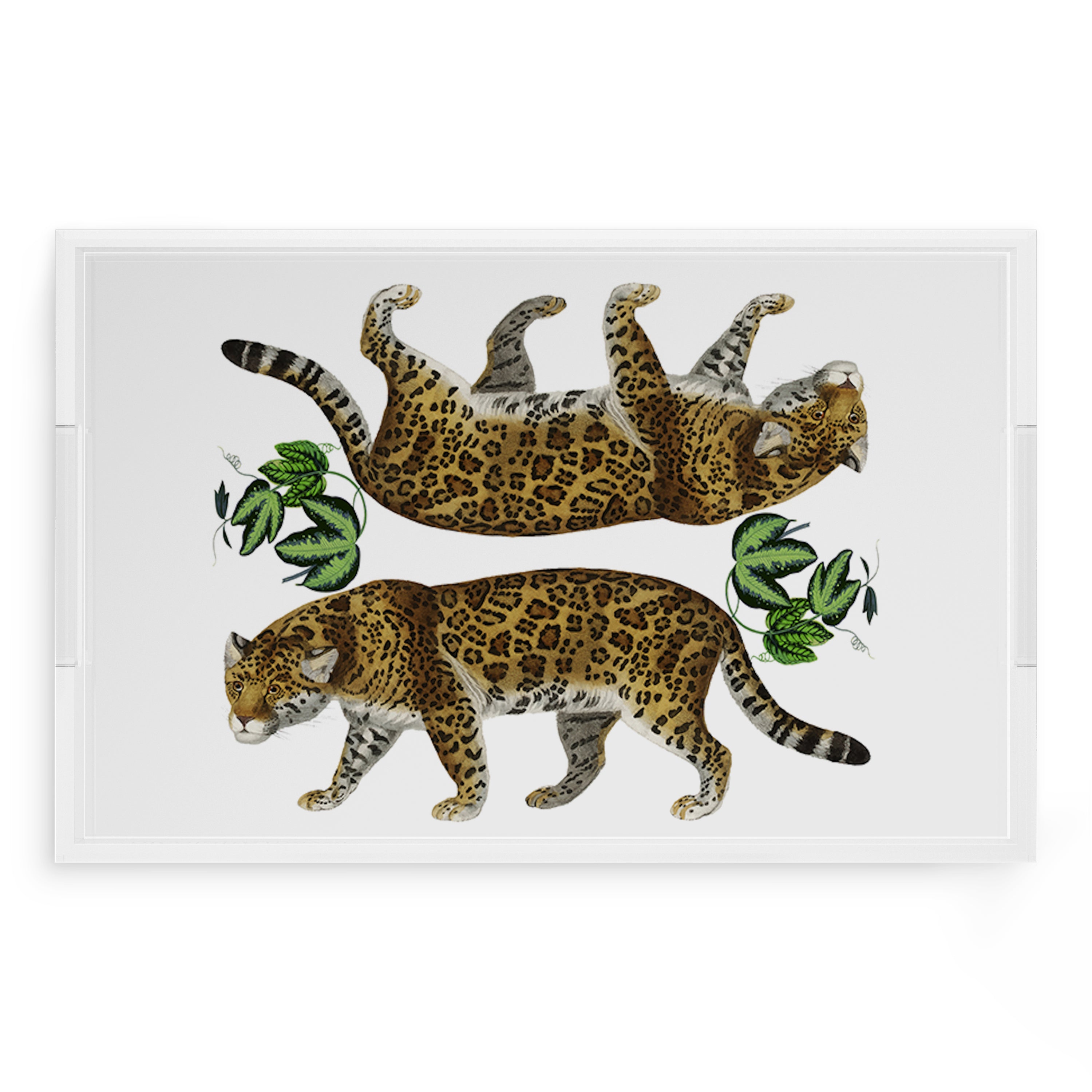 Leopard Seeing Double White 22.5X14.5 Acrylic Tray - nicolettemayer.com