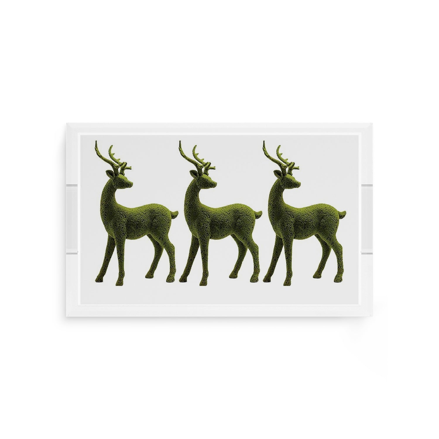 Moss Reindeer 12.5X7.75 Acrylic Tray - nicolettemayer.com