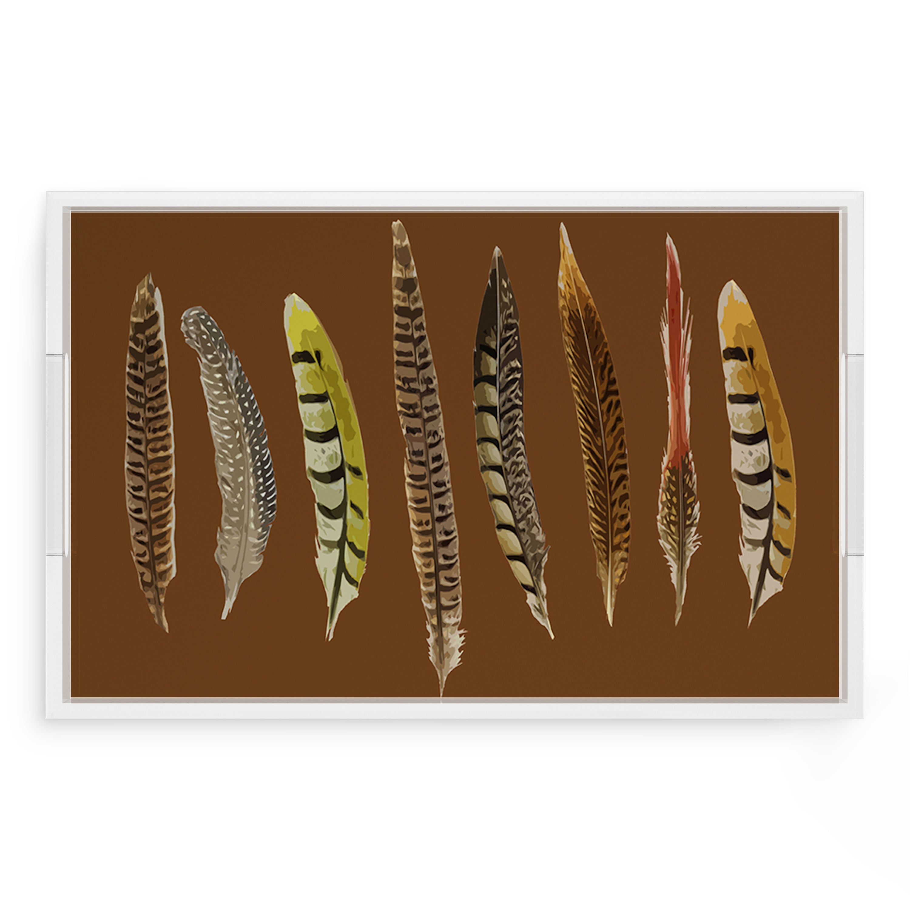 Pheasant Feathers Brown 22.5X14.5 Acrylic Tray - nicolettemayer.com
