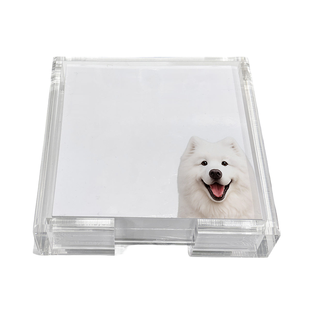 Samoyed dog note cards in a clear acrylic holder by Nicolette Mayer