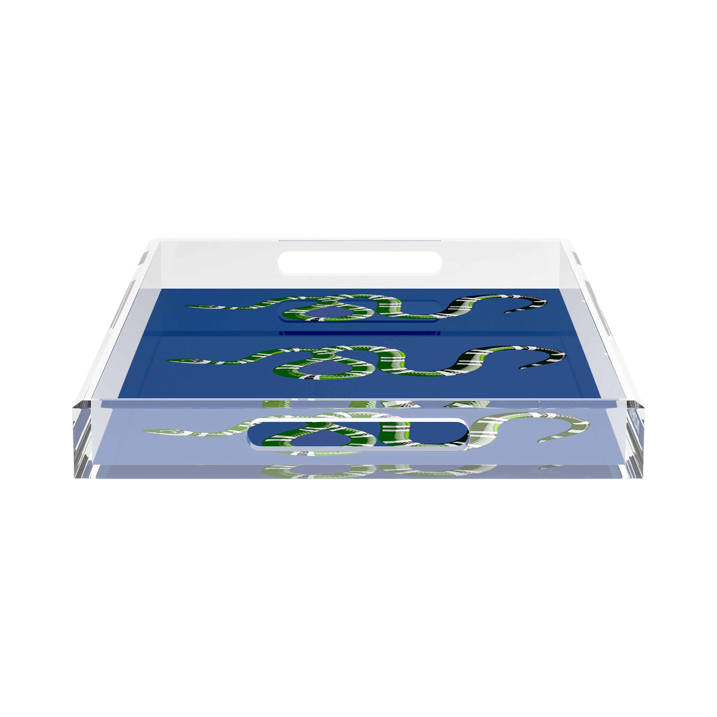 Serpent Blue 22.5X14.5 Acrylic Tray - nicolettemayer.com