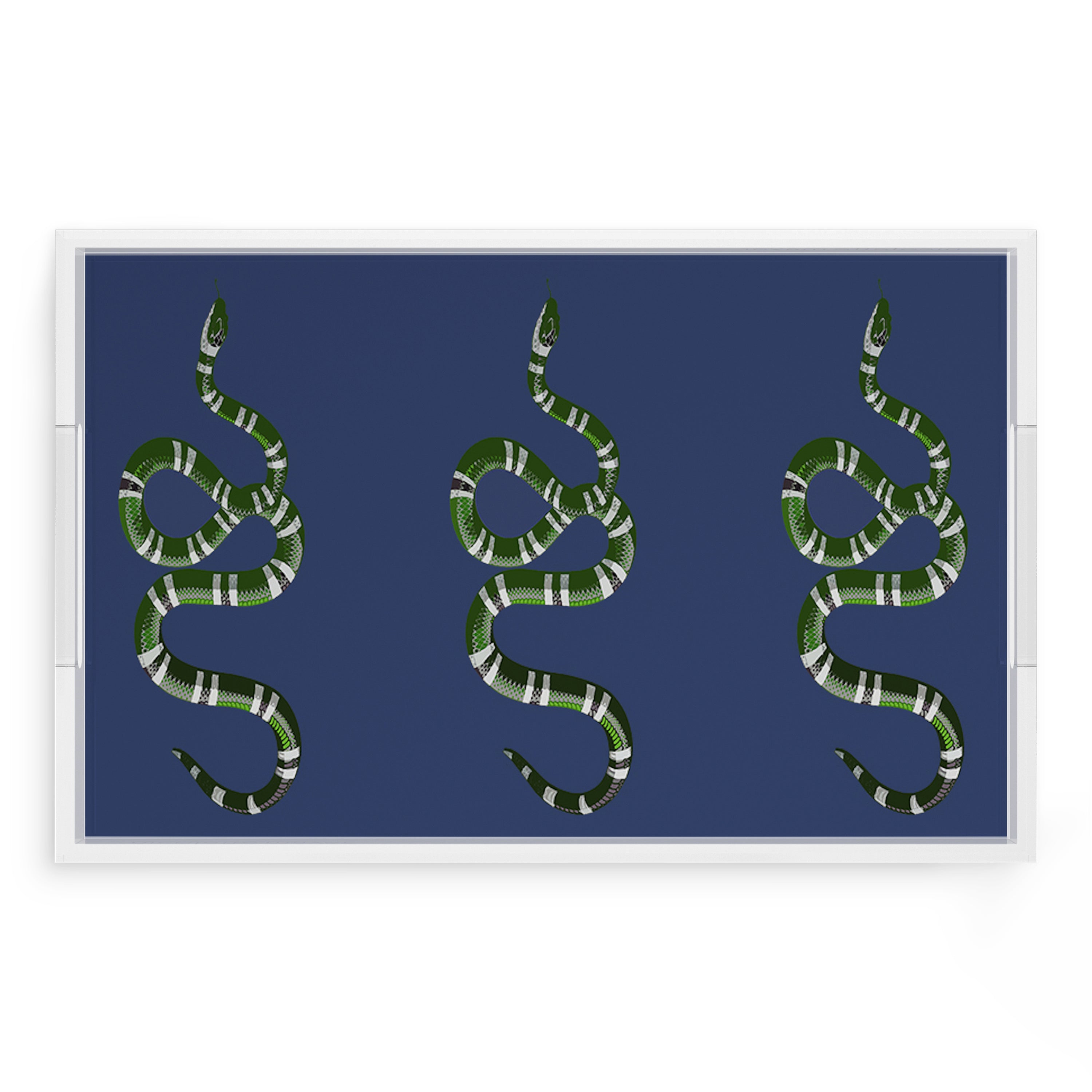 Serpent Blue 22.5X14.5 Acrylic Tray - nicolettemayer.com