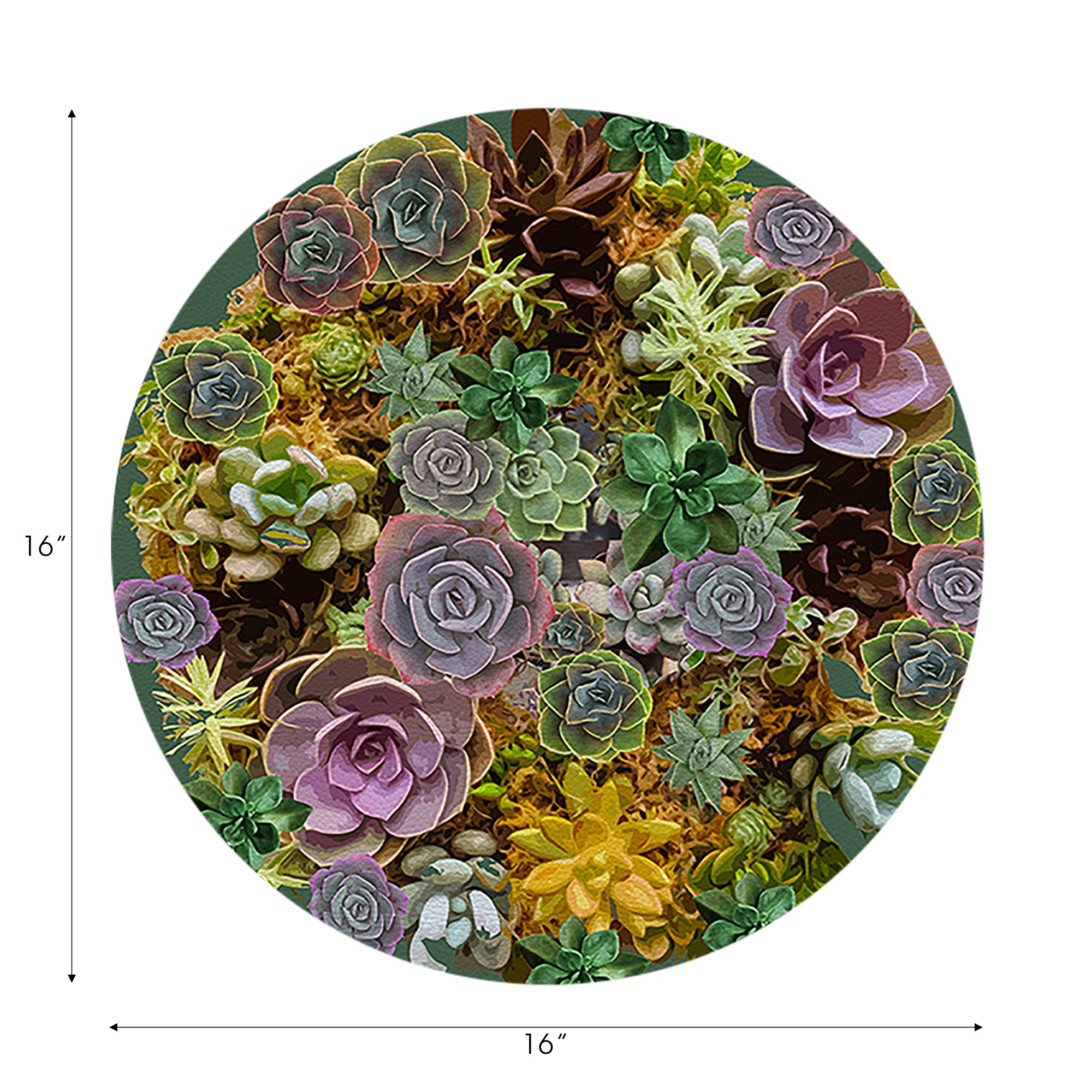 Ensemble de 4 sets de table ronds en galets, motif plantes succulentes à feuilles persistantes, 40 cm