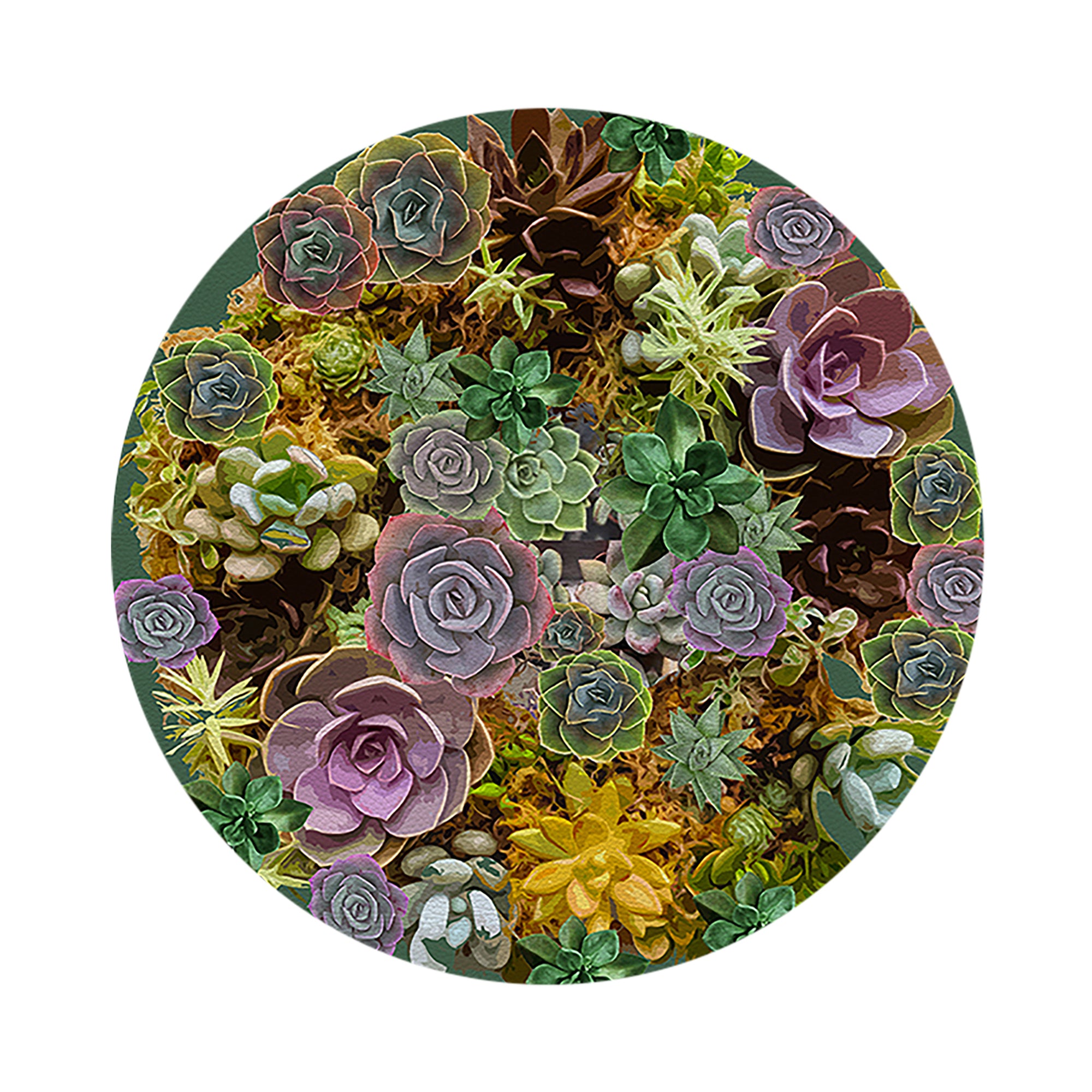 Succulents Evergreen 16" Round Pebble Placemats, Set of 4 - nicolettemayer.com