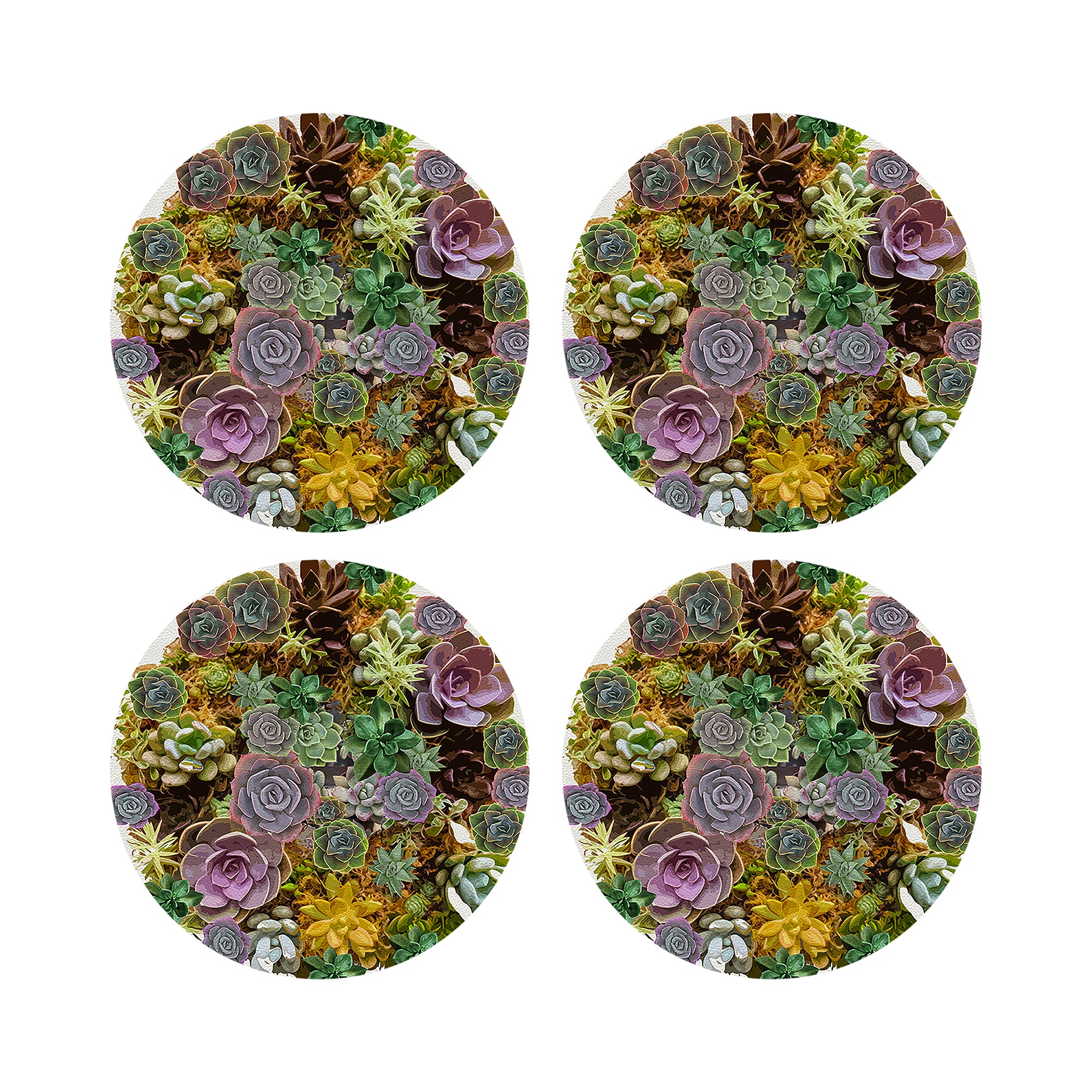 Succulents White 16" Round Pebble Placemats, Set of 4 - nicolettemayer.com
