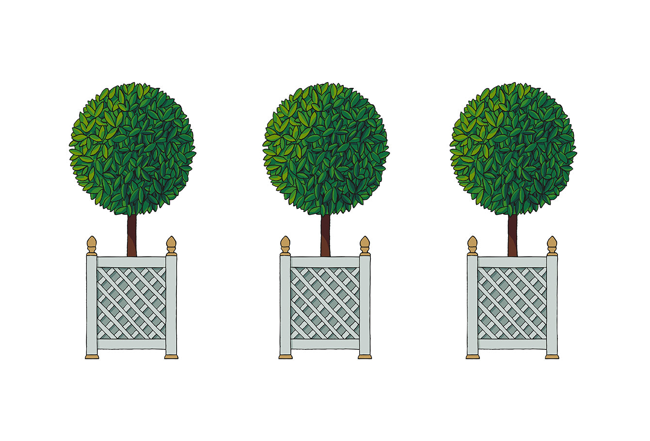 Timothy Corrigan Topiary Papier-Tischsets, ein Set mit 24 Stück