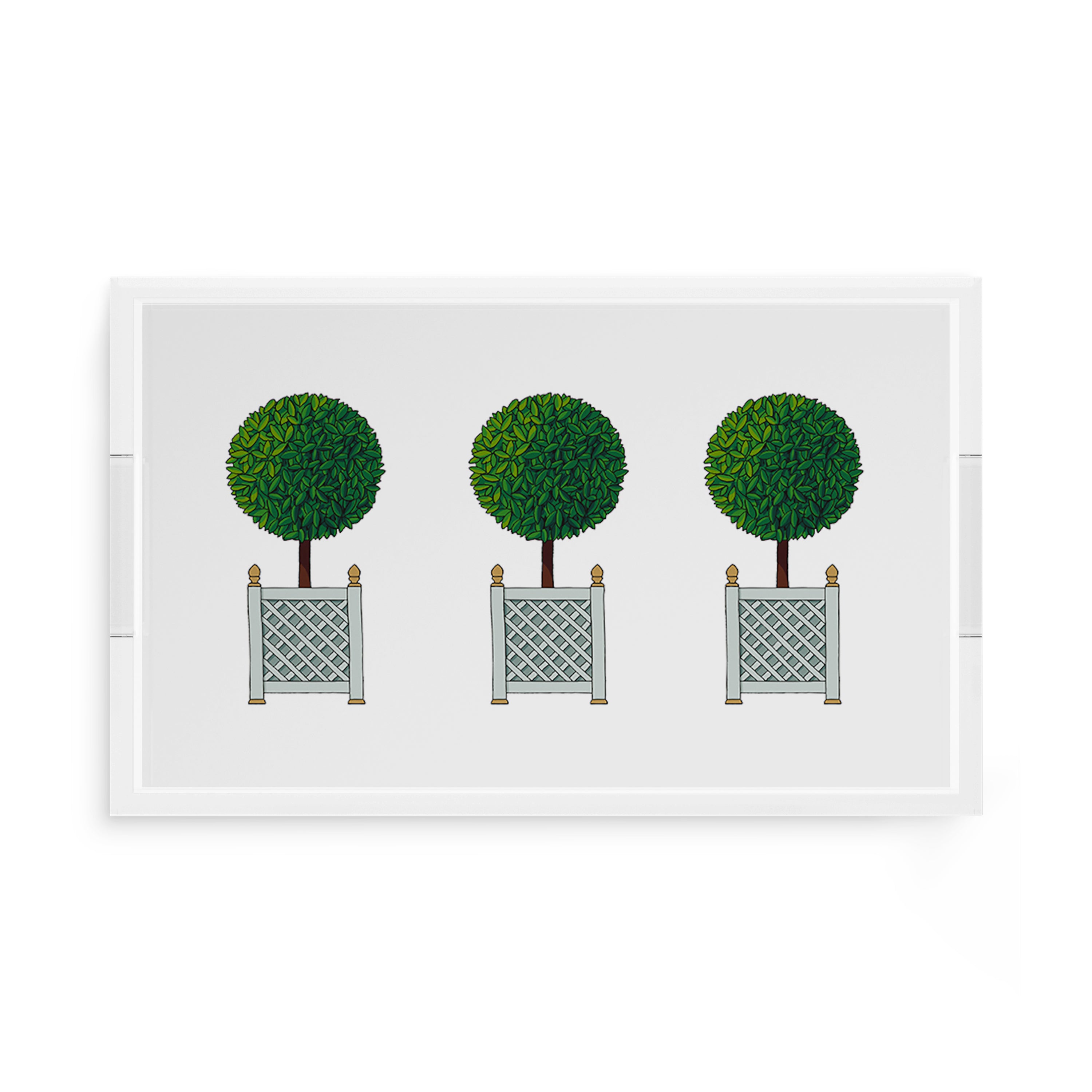 Timothy Corrigan Topiary 17X10.5 Acrylic Tray - nicolettemayer.com