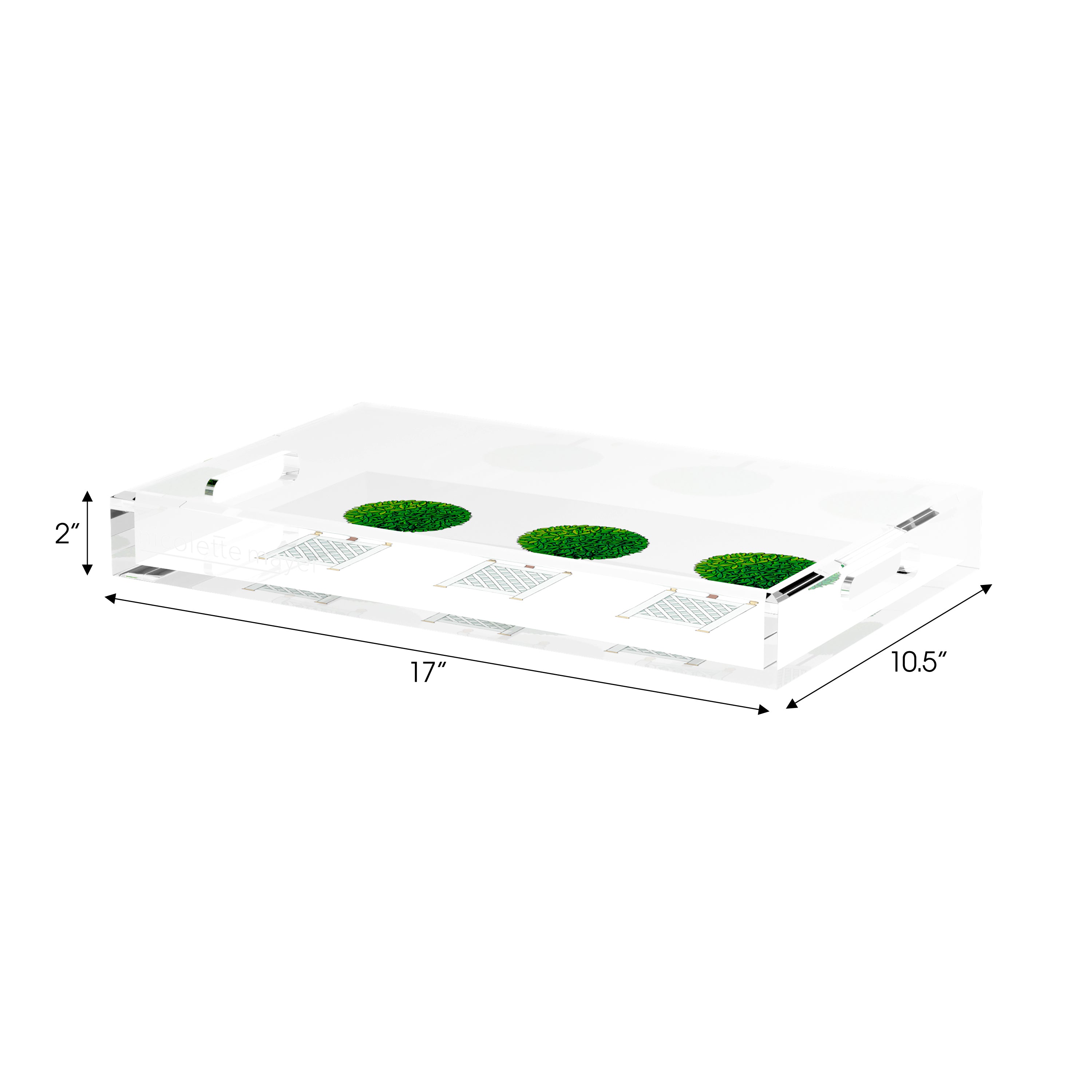 Timothy Corrigan Topiary 17X10.5 Acrylic Tray - nicolettemayer.com