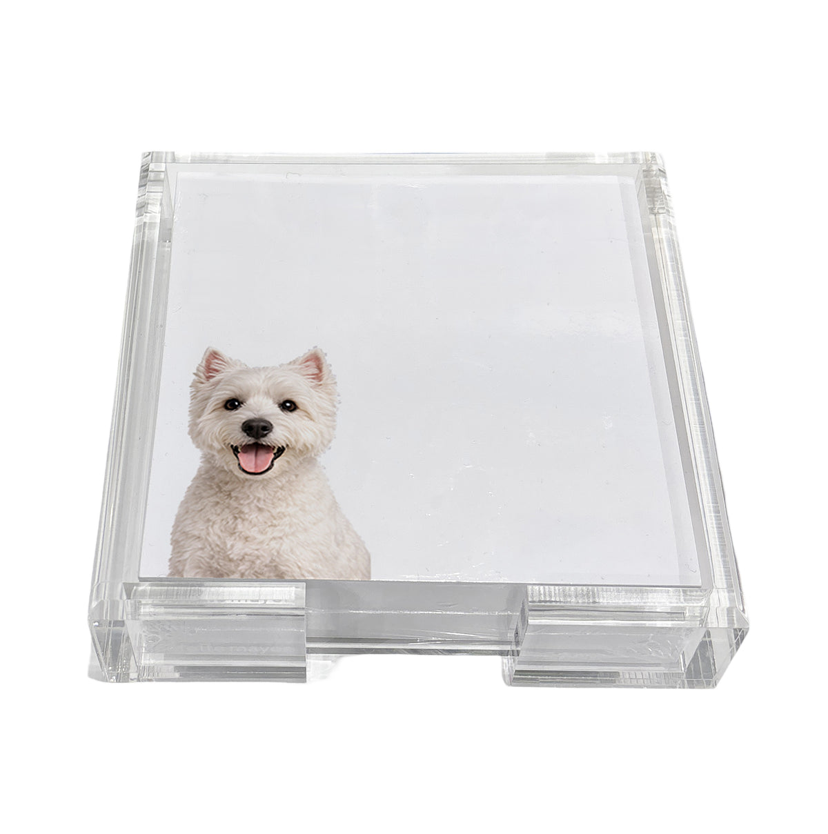 Westie dog note cards in a clear acrylic holder by Nicolette Mayer