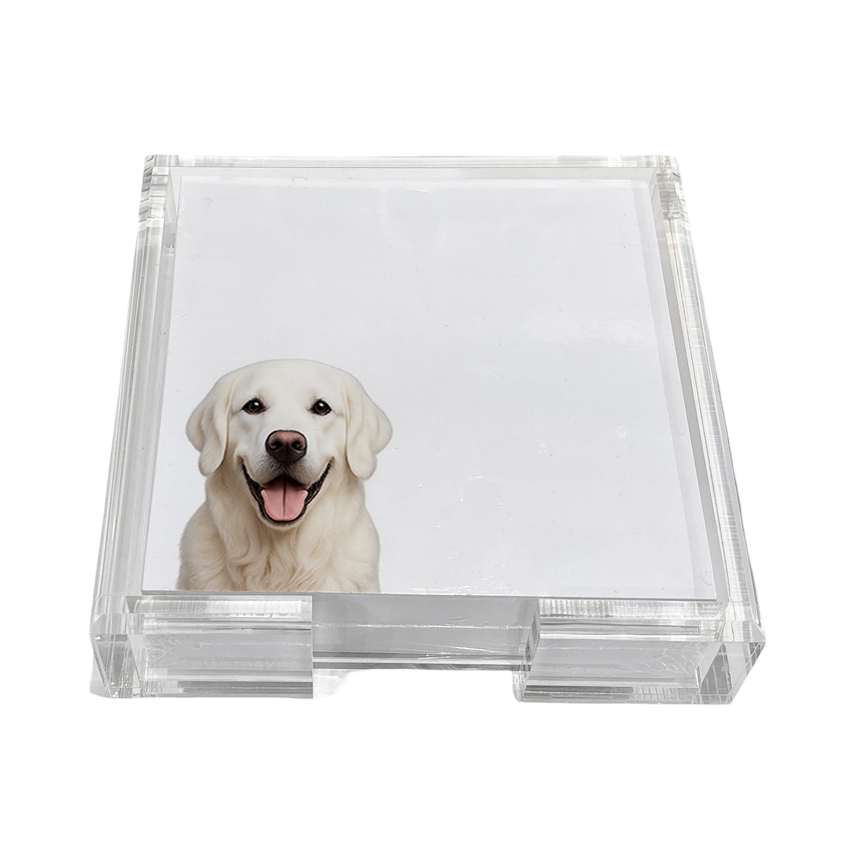 White Lab dog note cards in a clear acrylic holder by Nicolette Mayer