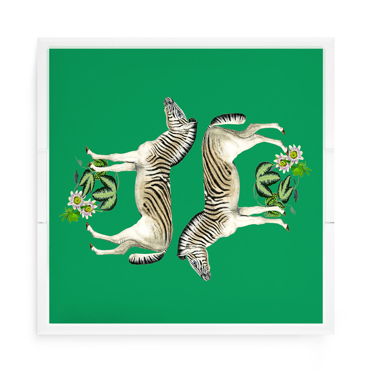 Zebra Seeing Double Kelly Acrylic Decorative Tray, 15 x 15 in. by Nicolette Mayer