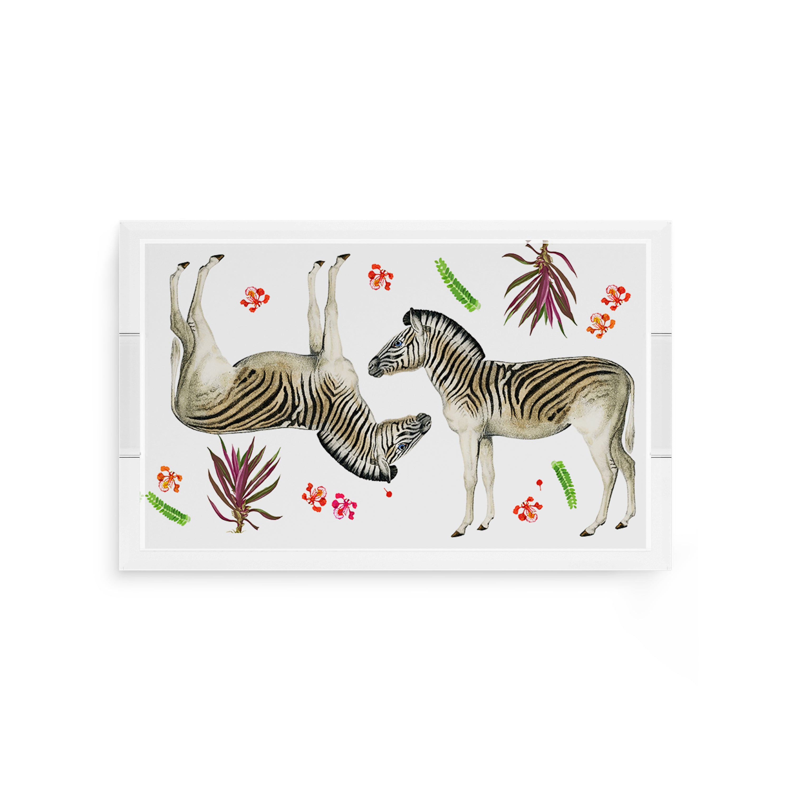 Zebra Seeing Double 12.5X7.75 Acrylic Tray - nicolettemayer.com