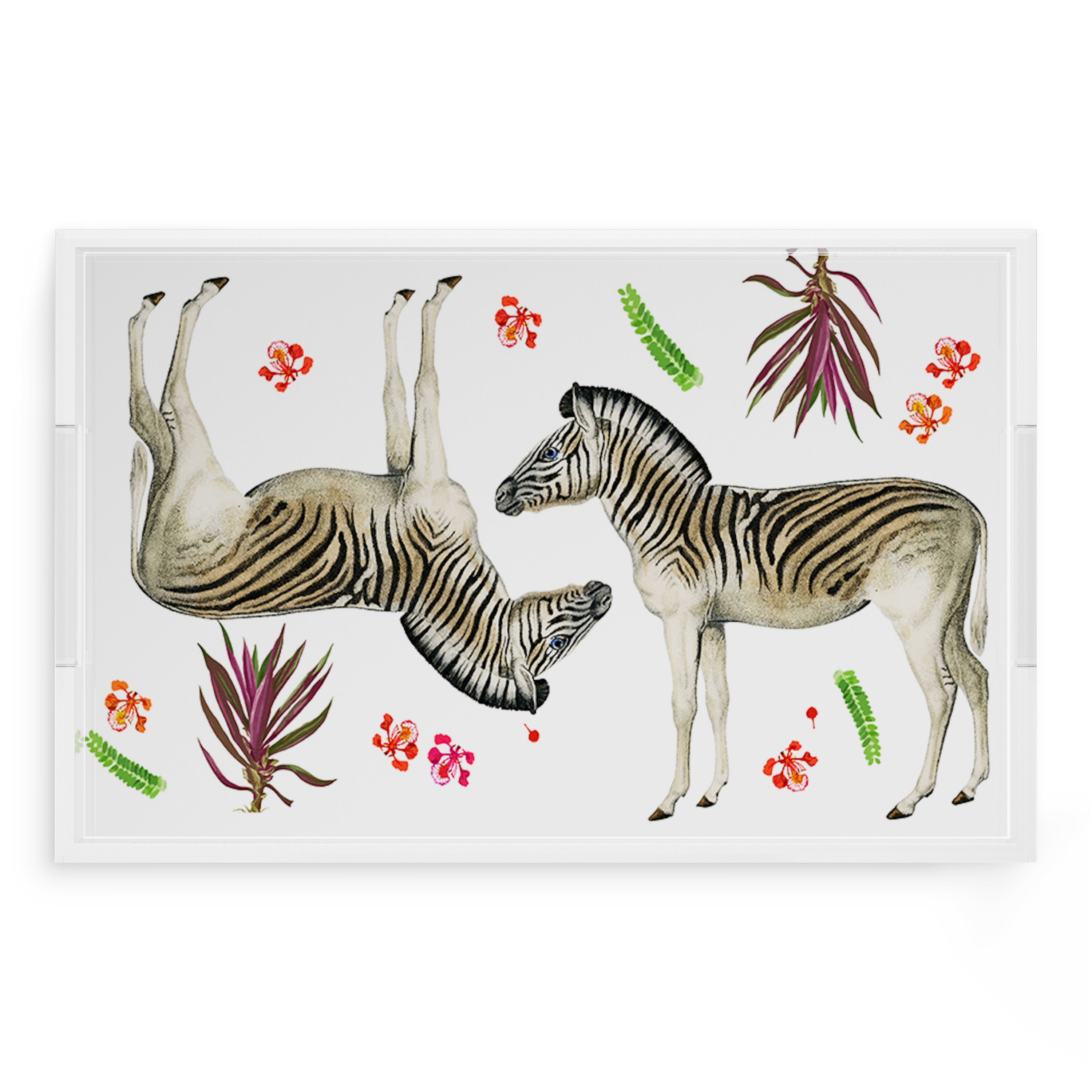 Zebra Seeing Double 22.5X14.5 Acrylic Tray - nicolettemayer.com