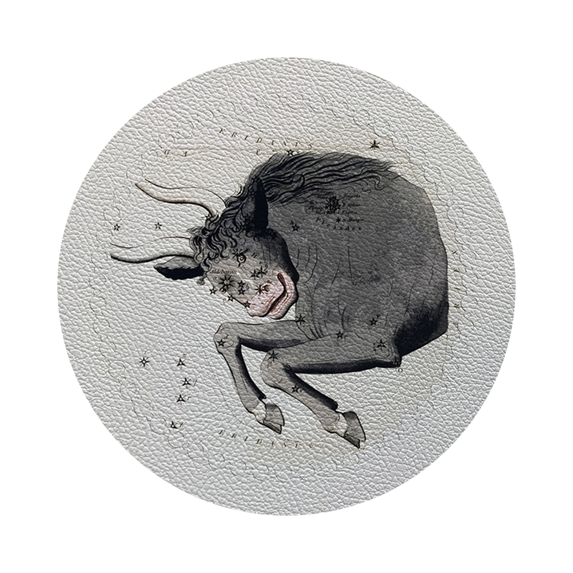 Zodiac Taurus White 16" Round Pebble Placemats, Set of 4 - nicolettemayer.com
