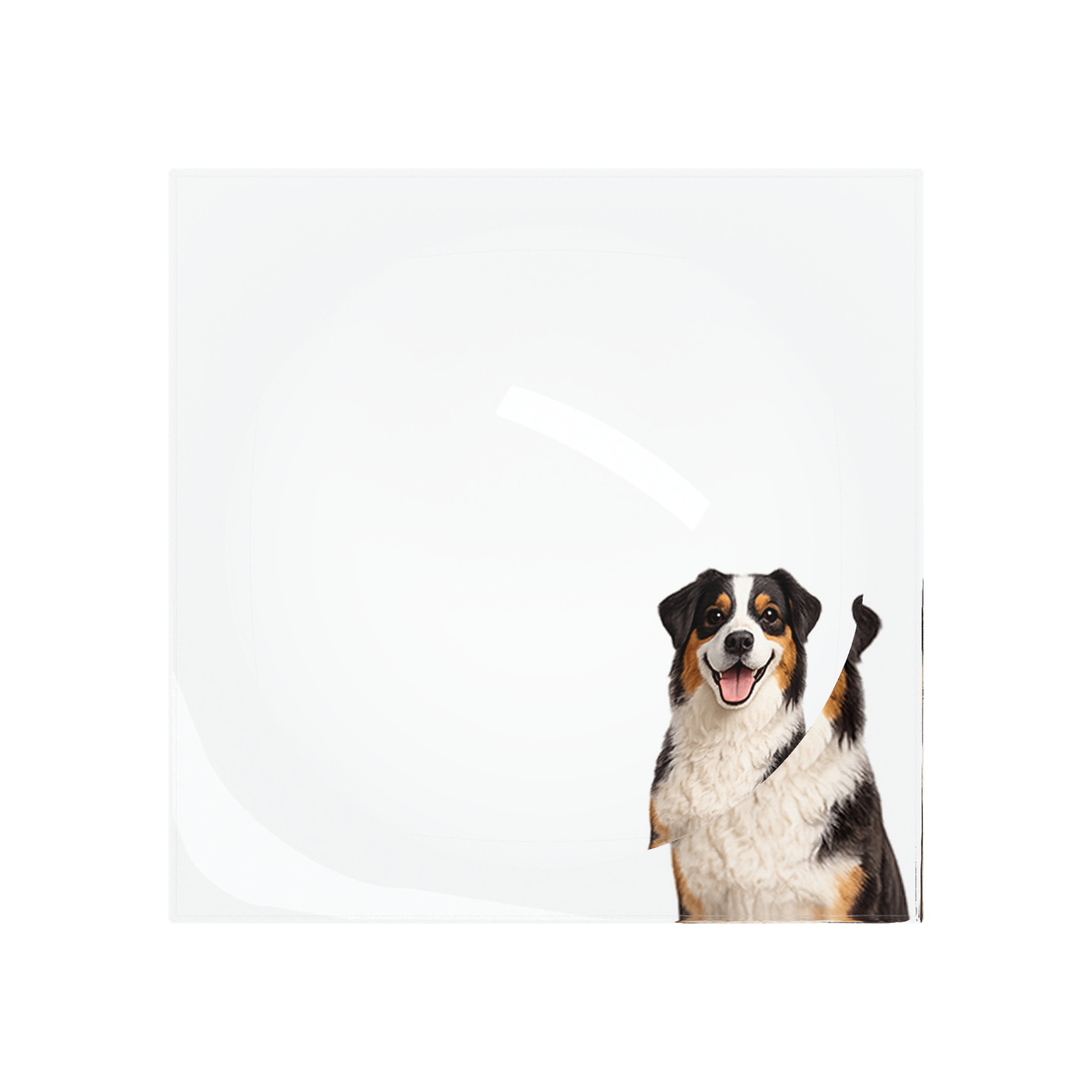 Australian Shepherd Dog Acrylic Candy Catchall Dish, overhead, by Nicolette Mayer