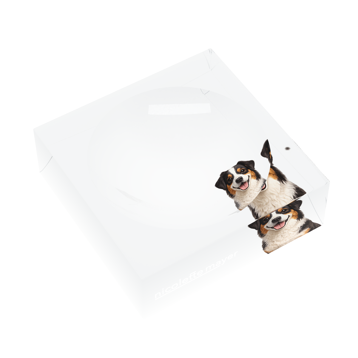 Australian Shepherd Dog Acrylic Candy Catchall Dish, left three-quarter, by Nicolette Mayer