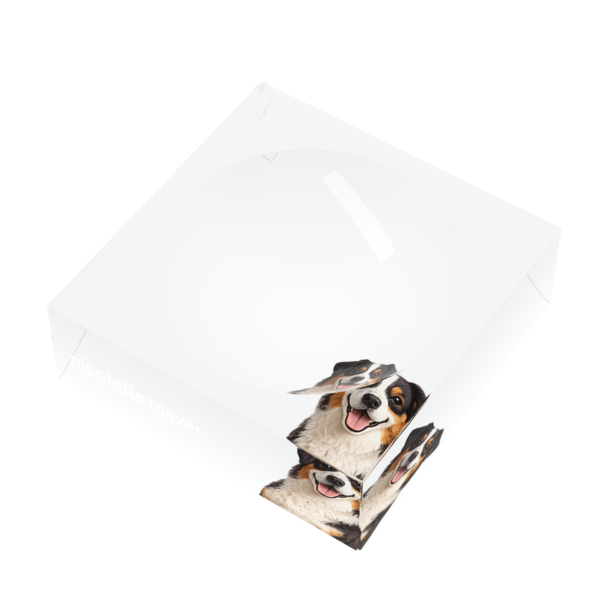 Australian Shepherd Dog Acrylic Candy Catchall Dish, right three-quarter, by Nicolette Mayer
