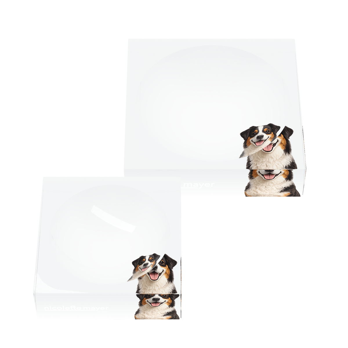 Australian Shepherd Dog Acrylic Candy Catchall Dish, set of two, by Nicolette Mayer