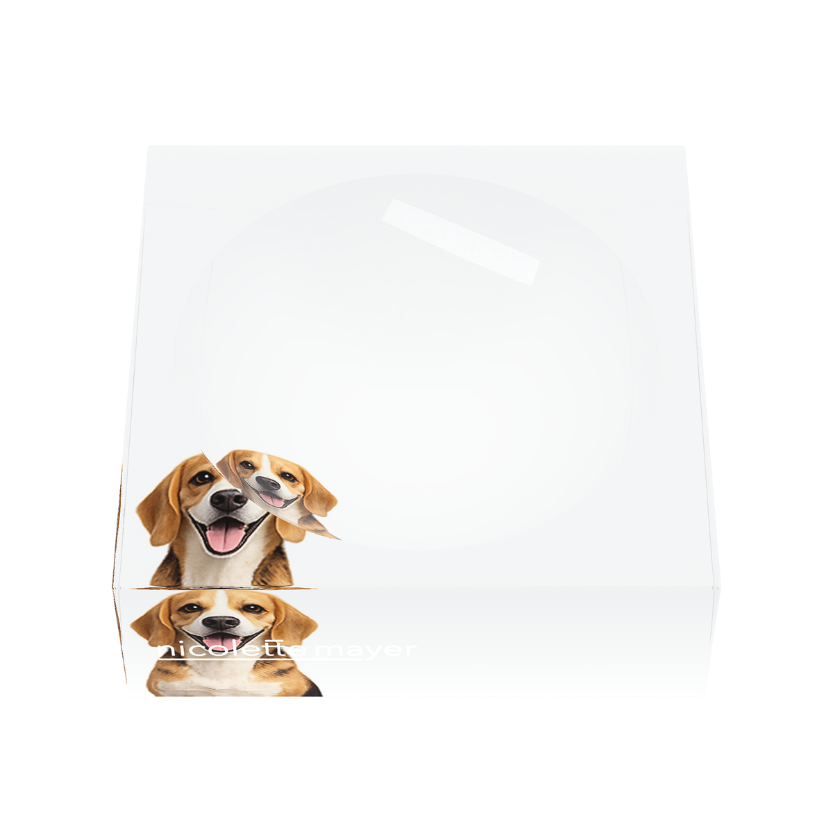 Beagle Dog Acrylic Candy Catchall Dish, front, by Nicolette Mayer
