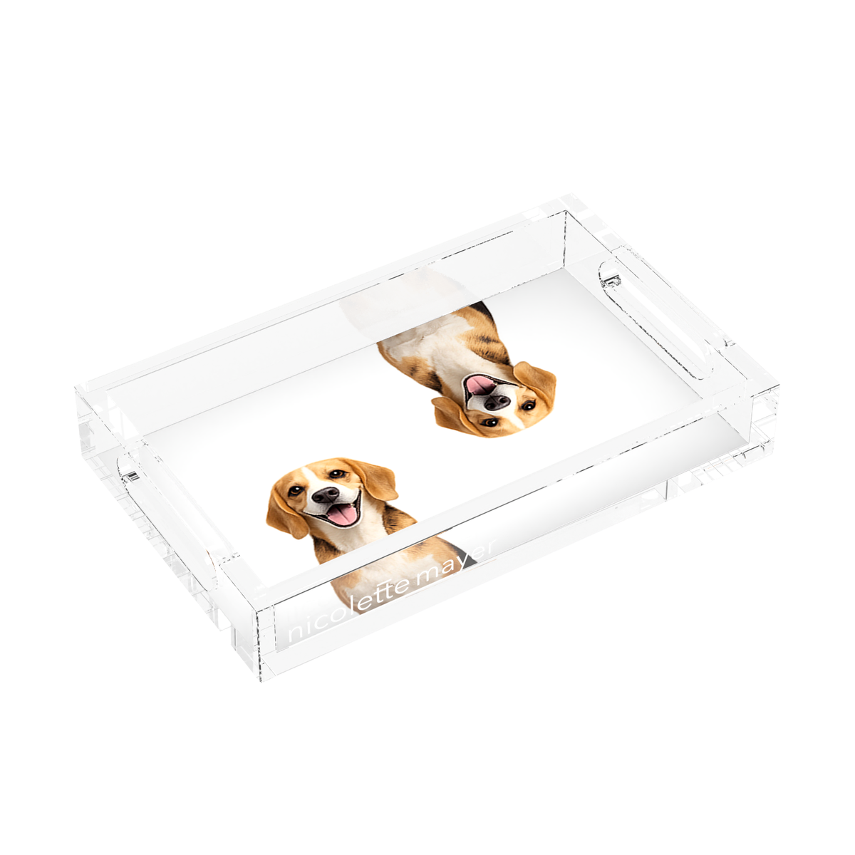 Beagle Dog Acrylic Rectangle Tray, left three-quarter, by Nicolette Mayer