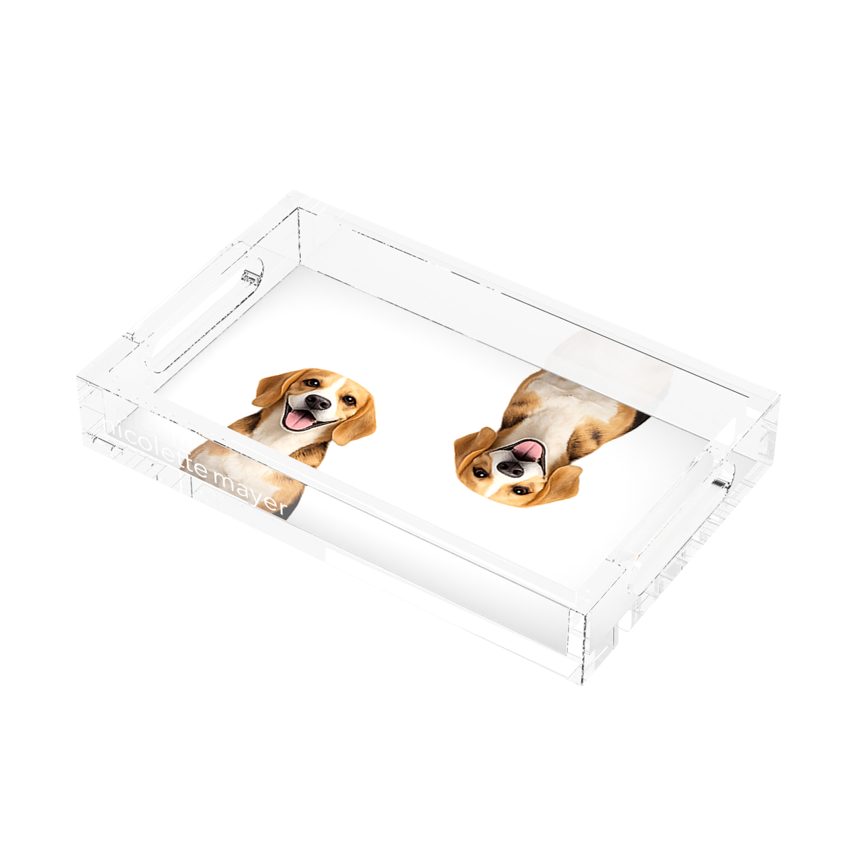 Beagle Dog Acrylic Rectangle Tray, right three-quarter, by Nicolette Mayer