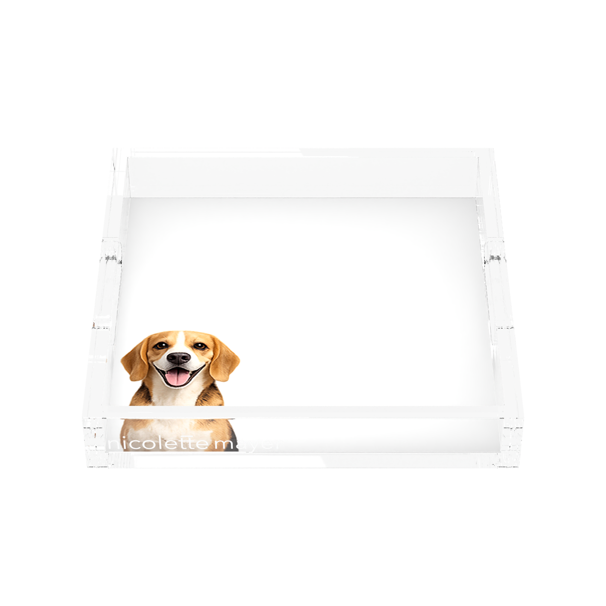 Beagle Dog Acrylic Decorative Tray, front, by Nicolette Mayer