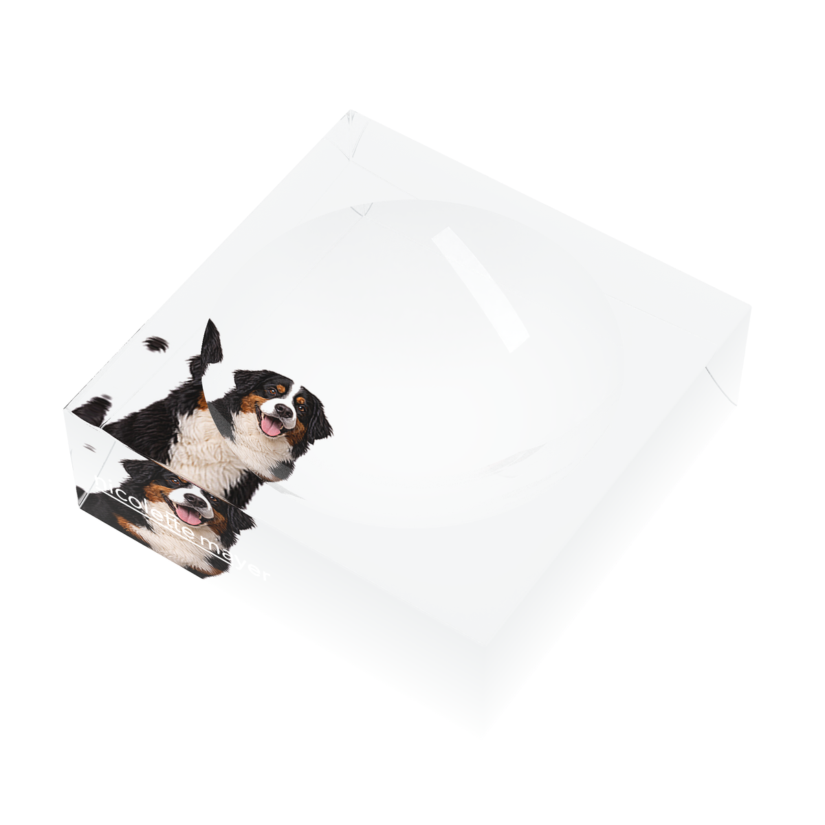 Bernese Mountain Dog Acrylic Candy Catchall Dish, right three-quarter, by Nicolette Mayer