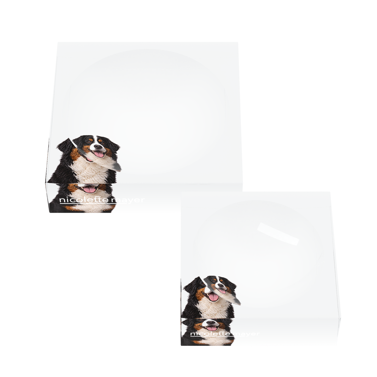 Bernese Mountain Dog Acrylic Candy Catchall Dish, set of two, by Nicolette Mayer