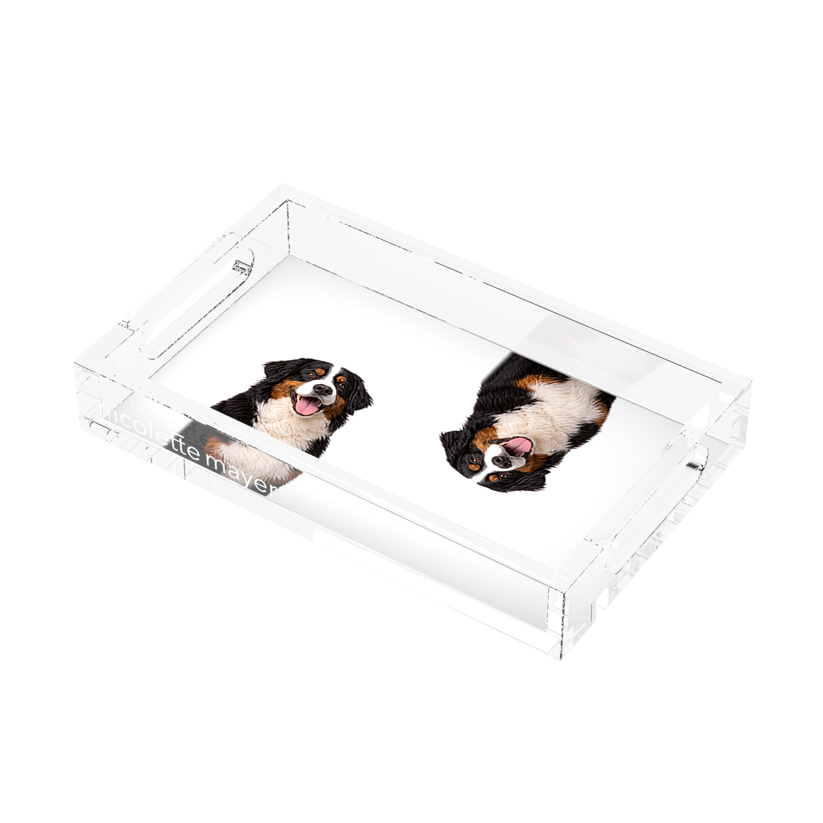 Bernese Mountain Dog Acrylic Rectangle Tray, right three-quarter, by Nicolette Mayer
