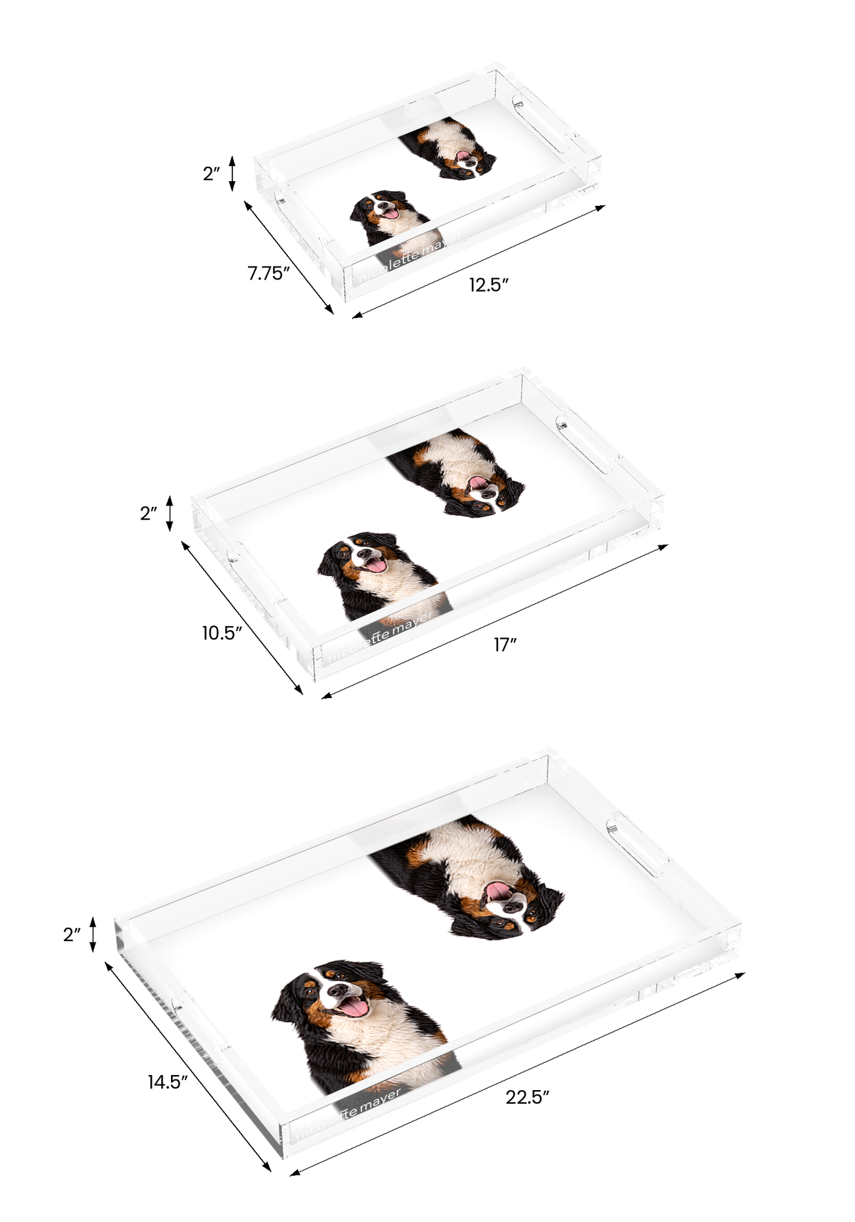 Bernese Mountain Dog Acrylic Rectangle Tray, all three sizes, by Nicolette Mayer
