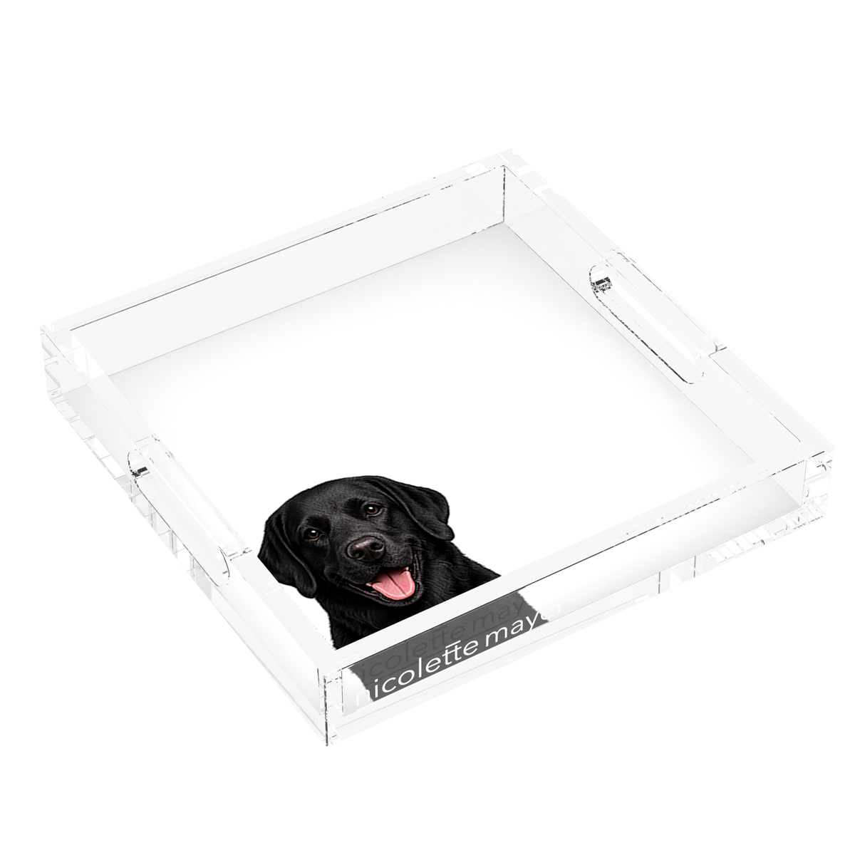 Black Lab Dog Acrylic Decorative Tray, left three-quarter, by Nicolette Mayer