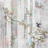 Blossom Fantasia Mandarin Tangerine 36X36 Acrylic Art - nicolettemayer.com