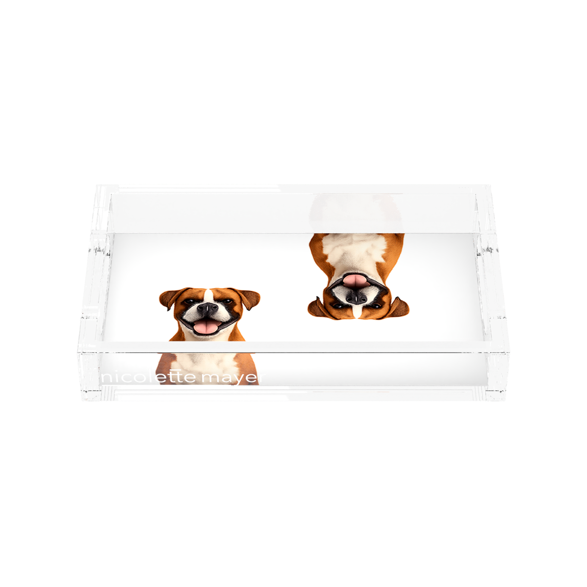 Boxer Dog Acrylic Rectangle Tray, front, by Nicolette Mayer