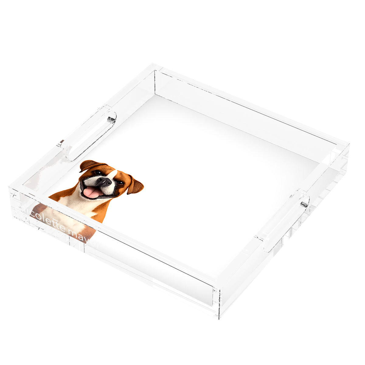 Boxer Dog Acrylic Decorative Tray, right three-quarter, by Nicolette Mayer