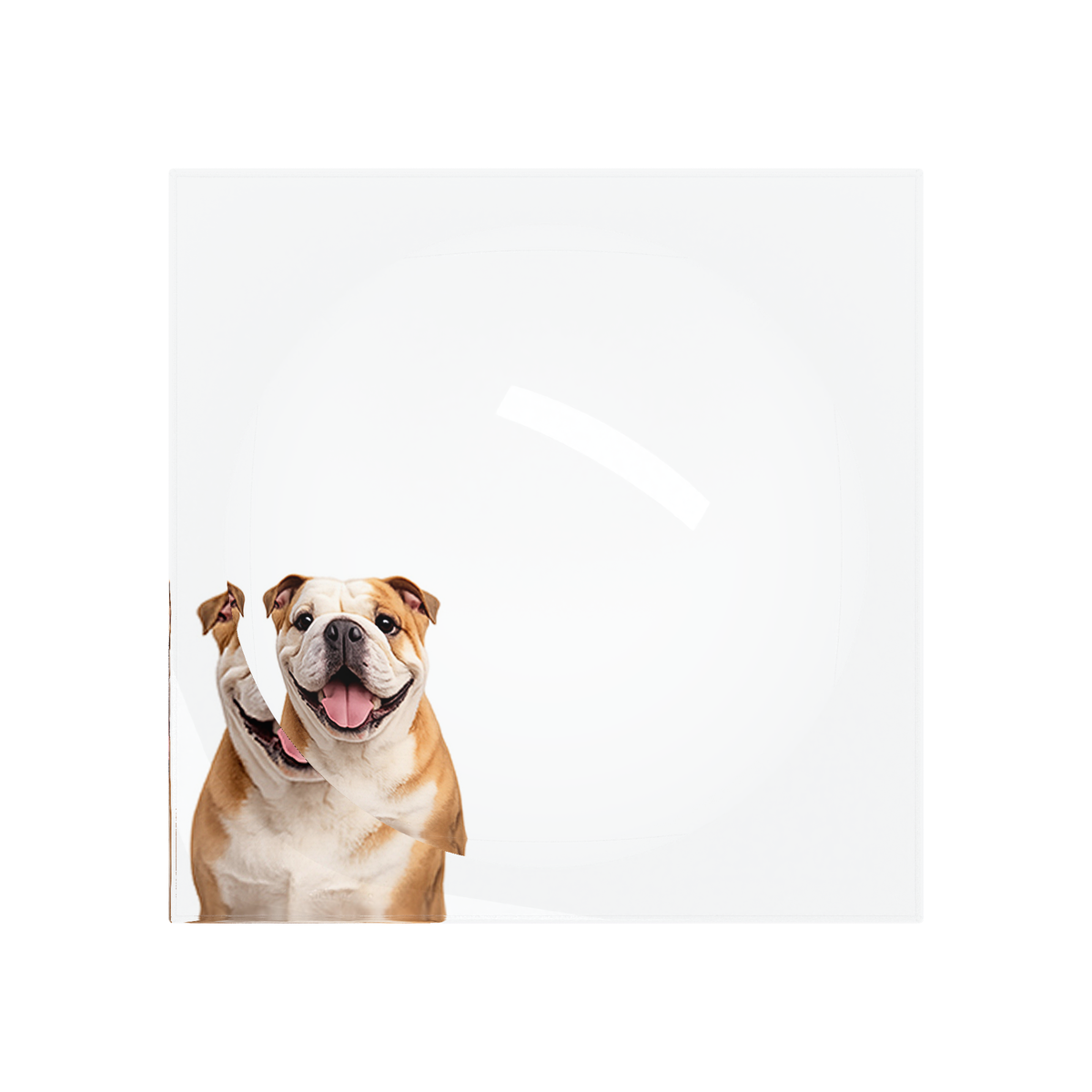 Bulldog Acrylic Candy Catchall Dish, overhead, by Nicolette Mayer
