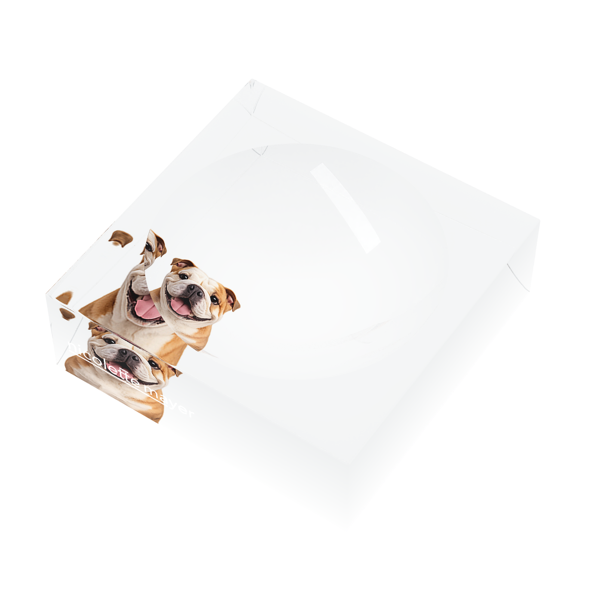 Bulldog Acrylic Candy Catchall Dish, right three-quarter, by Nicolette Mayer