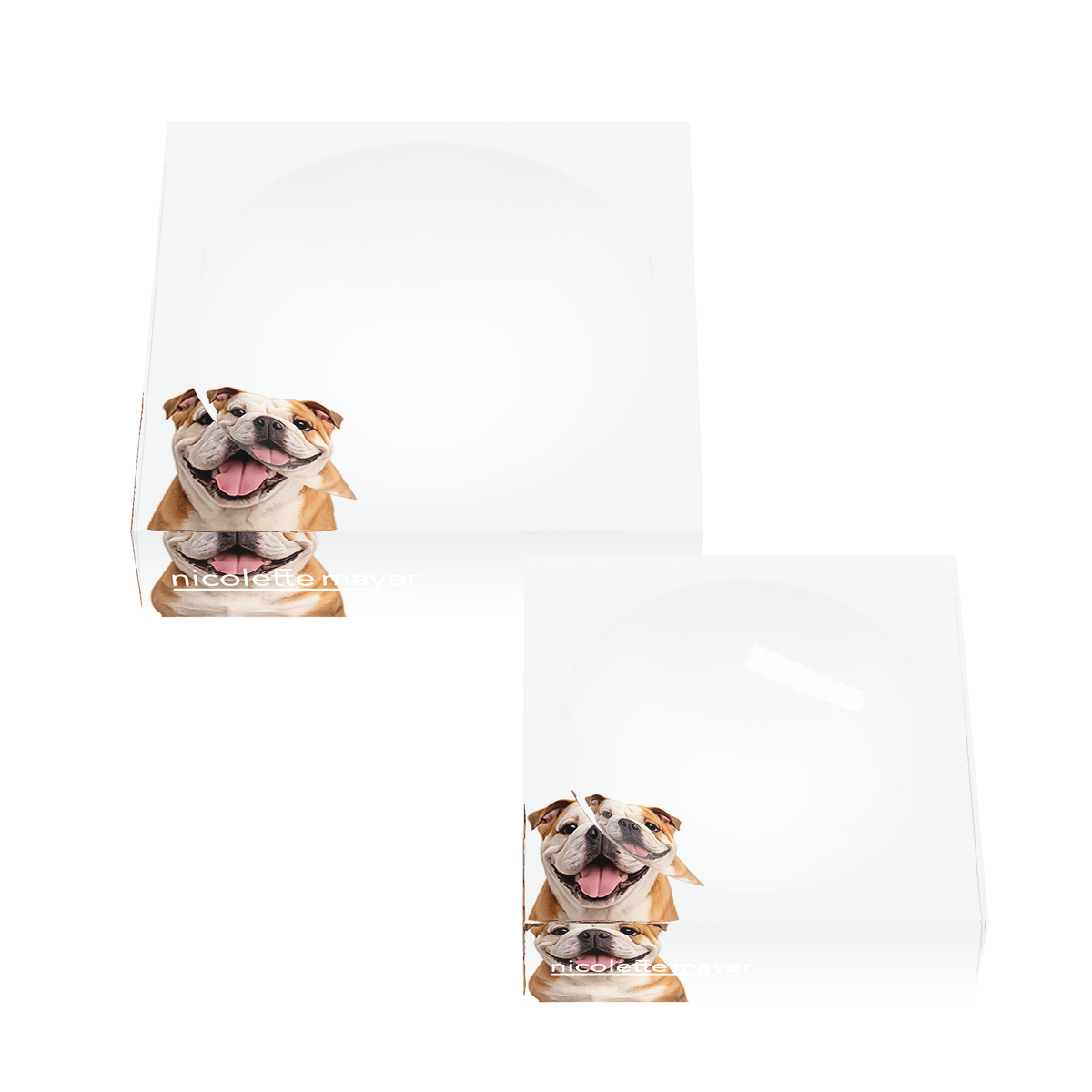 Bulldog Acrylic Candy Catchall Dish, set of two, by Nicolette Mayer