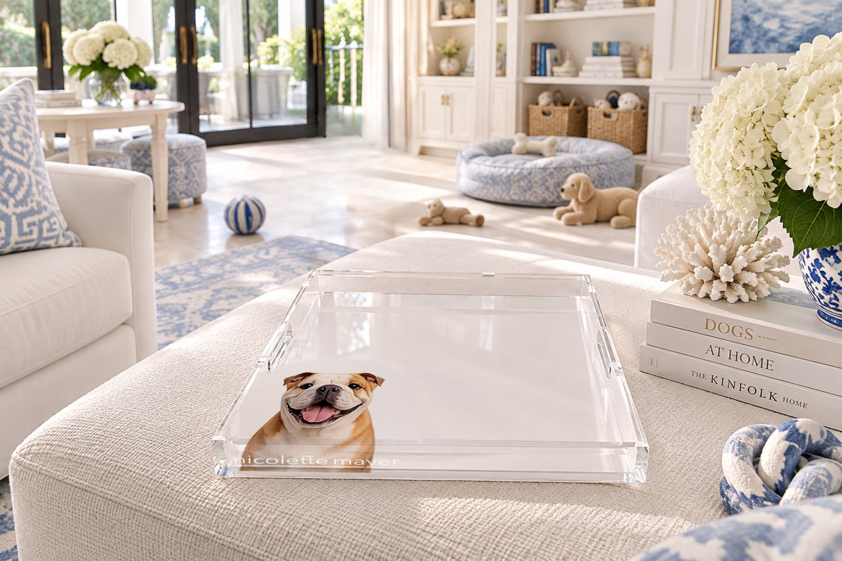 Bulldog Acrylic Decorative Tray, on an ottoman, by Nicolette Mayer
