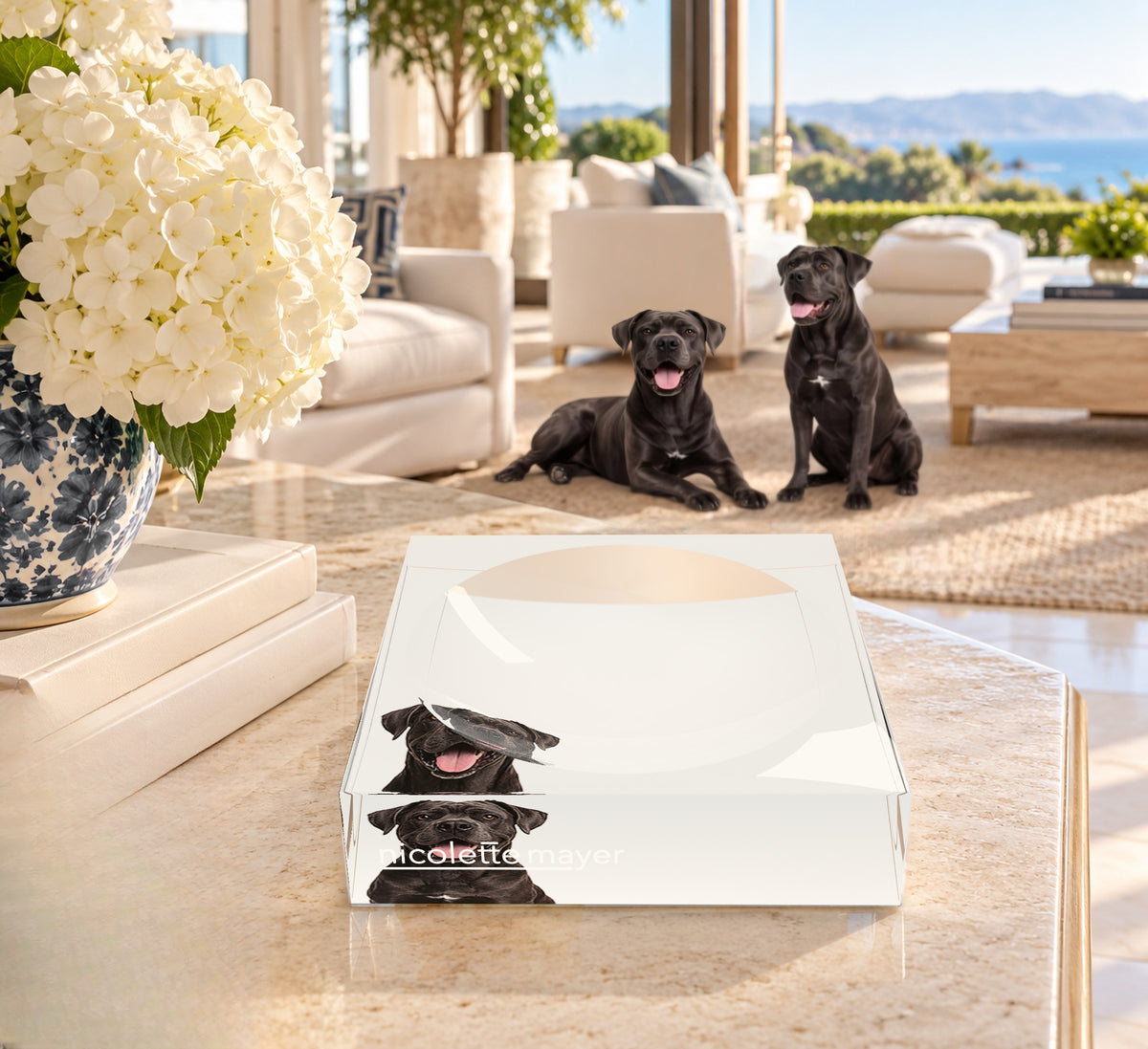 Cane Corso Dog Acrylic Candy Catchall Dish, on a coffee table, by Nicolette Mayer