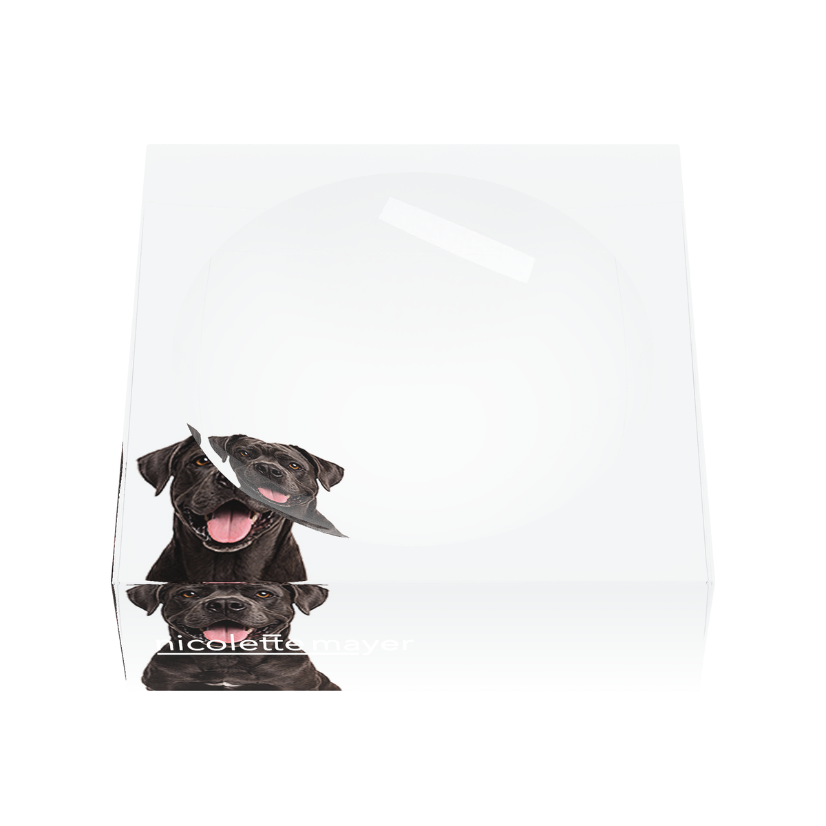 Cane Corso Dog Acrylic Candy Catchall Dish, front, by Nicolette Mayer