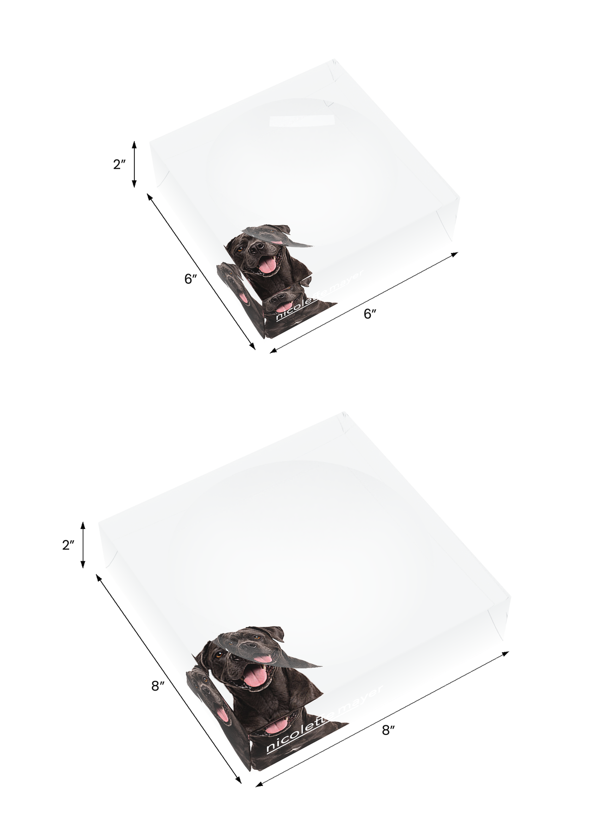 Cane Corso Dog Acrylic Candy Catchall Dish, both sizes, by Nicolette Mayer