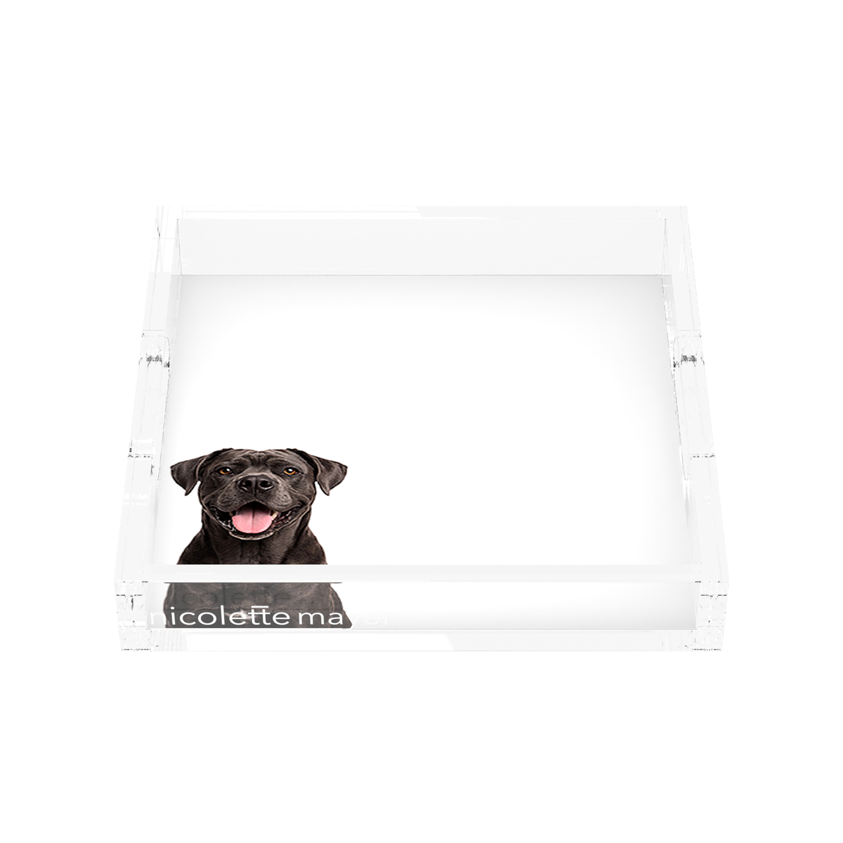 Cane Corso Dog Acrylic Decorative Tray, front, by Nicolette Mayer