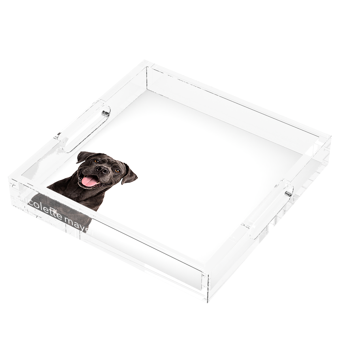 Cane Corso Dog Acrylic Decorative Tray, right three-quarter, by Nicolette Mayer