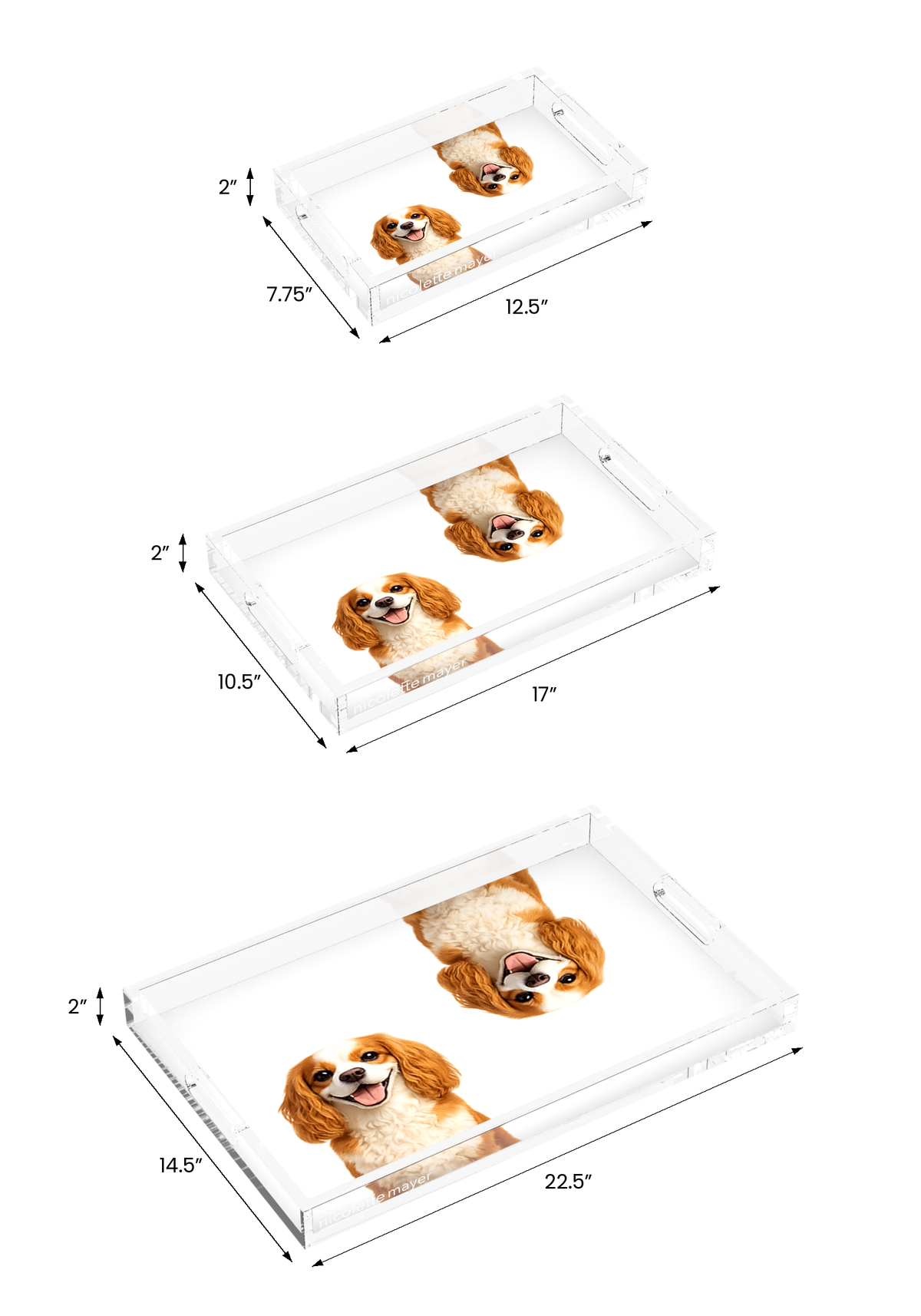 Cavalier King Charles Spaniel Dog Acrylic Rectangle Tray, all three sizes, by Nicolette Mayer