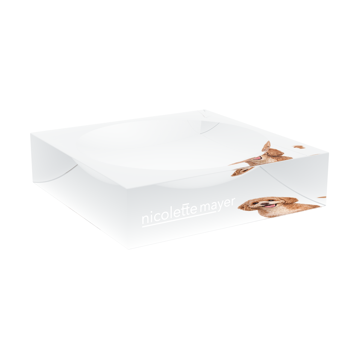 Cavapoo Dog Acrylic Candy Catchall Dish, large dish at an angle, by Nicolette Mayer