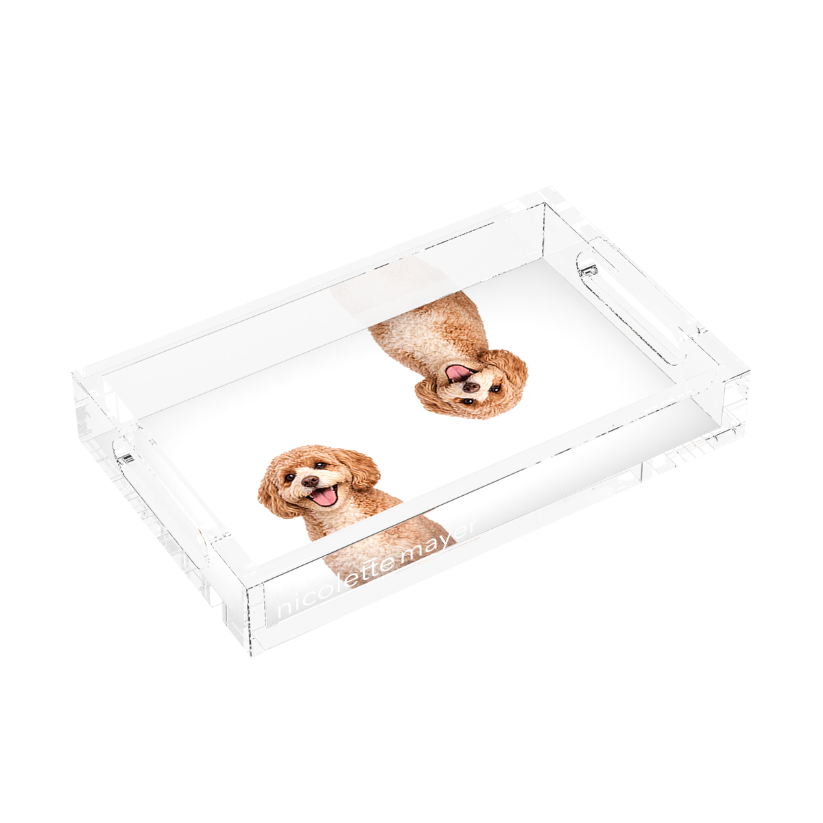 Cavapoo Dog Acrylic Rectangle Tray, left three-quarter, by Nicolette Mayer