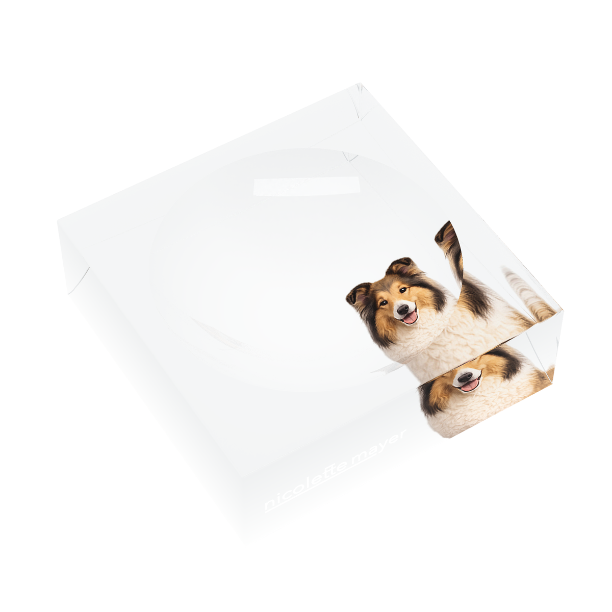 Collie Dog Acrylic Candy Catchall Dish, left three-quarter, by Nicolette Mayer