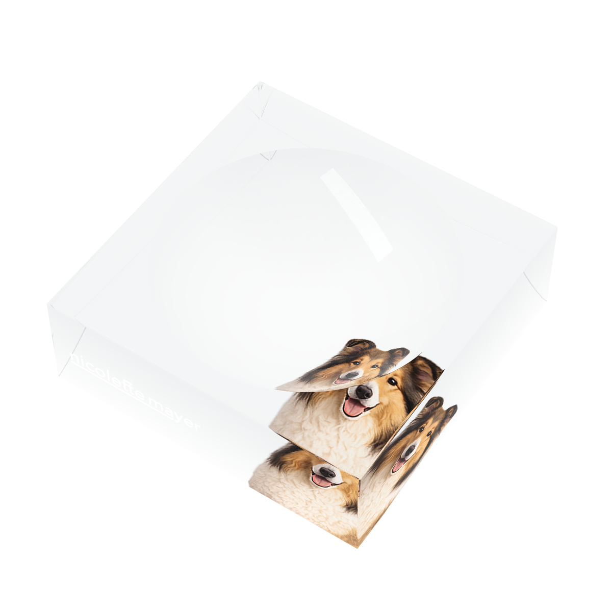 Collie Dog Acrylic Candy Catchall Dish, right three-quarter, by Nicolette Mayer