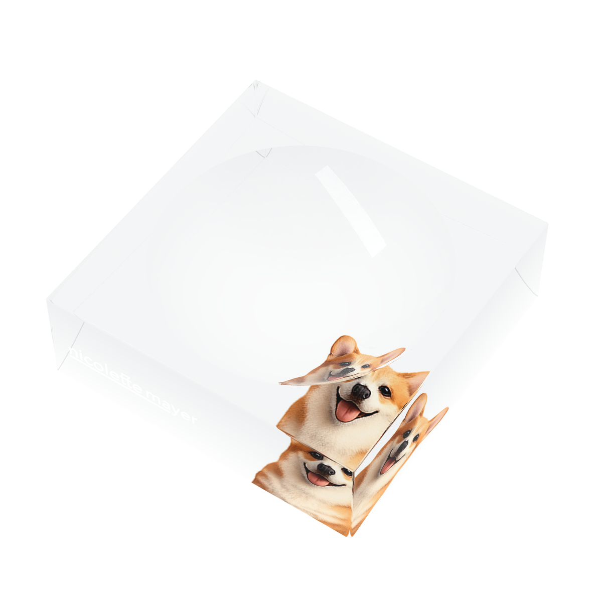 Corgi Dog Acrylic Candy Catchall Dish, right three-quarter, by Nicolette Mayer