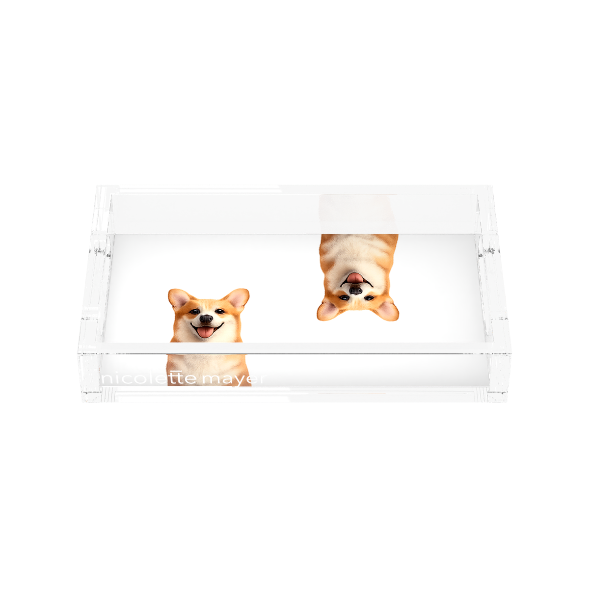 Corgi Dog Acrylic Rectangle Tray, front, by Nicolette Mayer